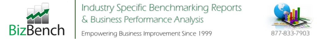 BizBench Banner Industry Performance 1999 1082